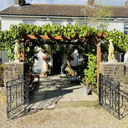 The Greyhound Inn Sydling St Nicholas 外观 照片